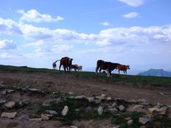 -灵山