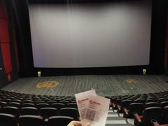 -上影国际影城(普陀绿地缤纷城店)