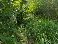 -云岫谷自然风景区