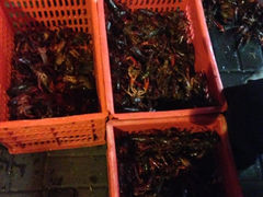 iphone_upload_pic-百味手拨龙虾馆(愚园路店)