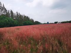 -嘉北郊野公园