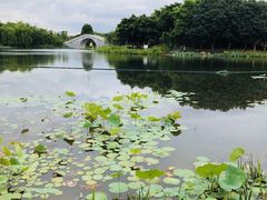 -映月湖公园
