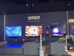 -Sony Store索尼(深圳深业上城店)