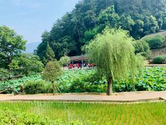 -韶山毛泽东同志故居