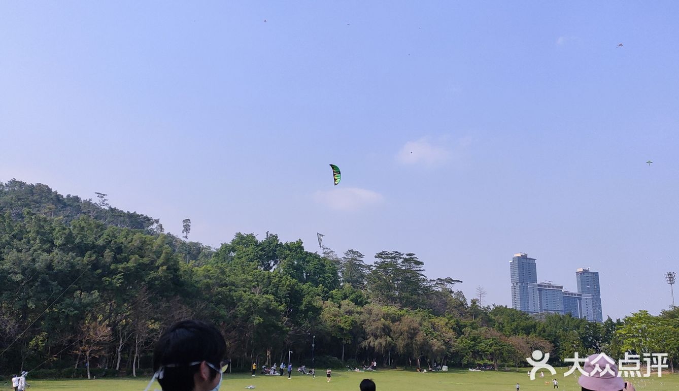 风筝篇 疫情过后回到深圳 第一逛的地方就来到了莲花山