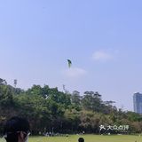 风筝篇 疫情过后回到深圳 第一逛的地方就来到了莲花山