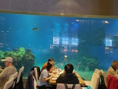 -海棠湾洲际-涛·海底餐厅·美人鱼·自助餐·海底隧道