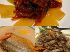 -福玺荟(外滩罗斯福店)