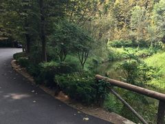-日照海滨国家森林公园