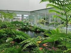 -罗红摄影艺术馆