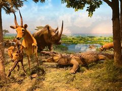 -国家自然博物馆