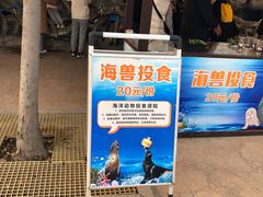 -华夏文旅海洋公园