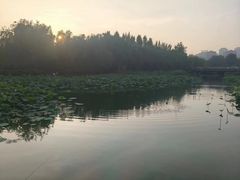 -前关湿地公园