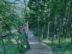 -青峰峡国家森林公园