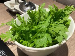 茼蒿-老鼎旺安格斯牛肉火锅(衡艺广场店)