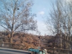 -磬锤峰森林公园