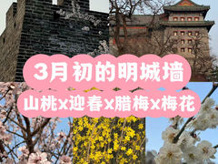 -北京明城墙遗址公园
