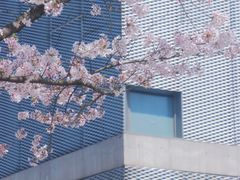 -龙美术馆(西岸馆)