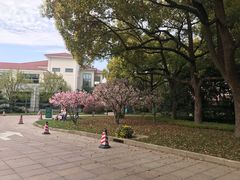 -上海虹桥迎宾馆