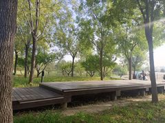 -东郊湿地公园