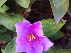 -URBAN REVIVO(高德置地广场·春广场店)