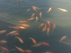 -长春市南湖公园