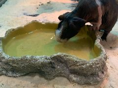 -北戴河圣蓝海洋公园