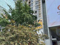 -银座mall(东直门店)