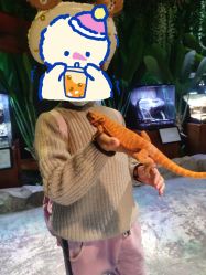 -酷嗒动物文化乐园(cutezoo西溪乐天城店)