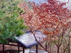 -缥缈峰景区