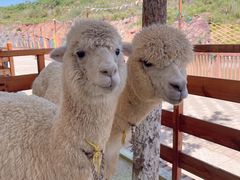 -华谊兄弟（长沙）电影小镇