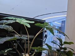 -Aqua Oasis 水天堂(太湖中心mall店)