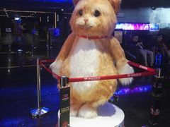 -喜满客影城(汉神广场店)