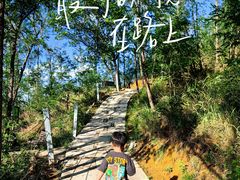 -欢乐松鼠谷