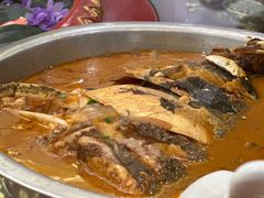 胖头鱼-珍宝蟹舫·巴城味道(巴城总店)