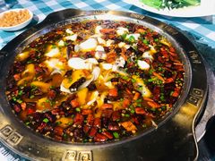 -重庆火锅水库鱼庄(南油店)