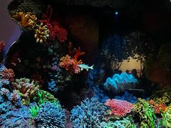 -中国湿地博物馆