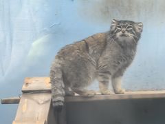 -青藏高原野生动物园