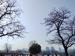 -大明宫国家遗址公园·御道广场