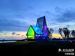 -荷兰花海