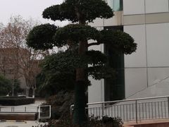 -华中科技大学百景园(三楼酒店)