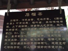 -西安国际创新人才交流中心•药浴温泉