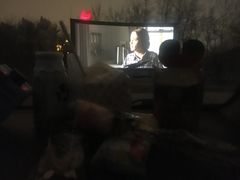 -枫花园汽车电影院(朝阳公园店)