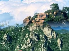 -大岭沟猕猴桃谷风景区