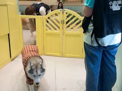 -废柴猫概念馆·桌游电玩卡牌(人广世茂店)