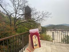 -牛首山文化旅游区