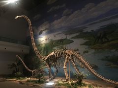 -自贡恐龙博物馆