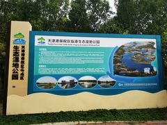 -大港湿地公园