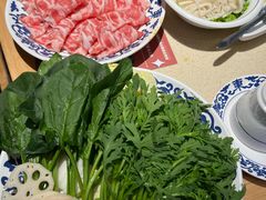 -东镇老火锅(长春路首店)