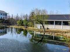 -金银湖国家城市湿地公园